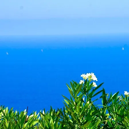 Petale De Rose 카발레르쉬르메르