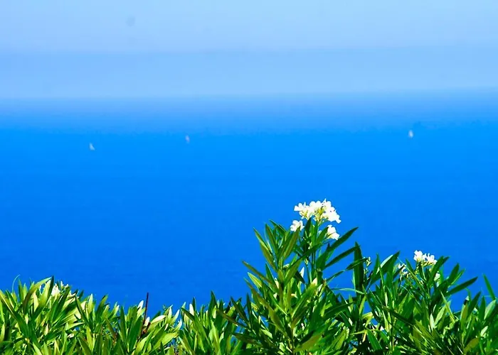 Petale De Rose 카발레르쉬르메르